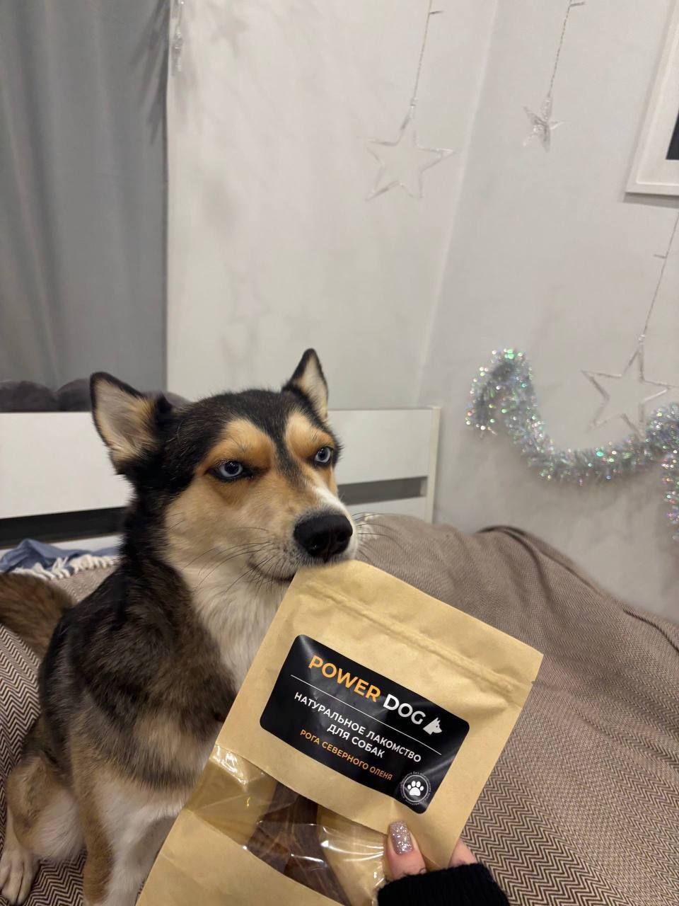 Отзывы покупателей