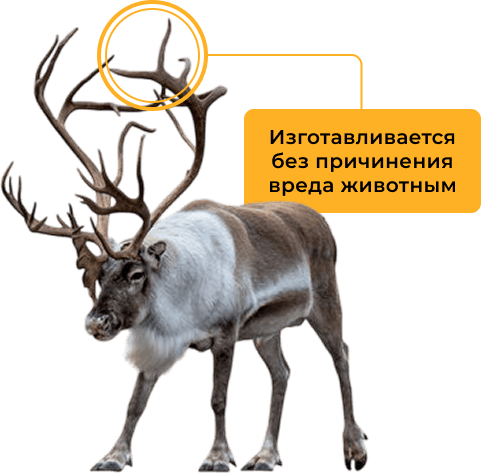 Лакомство для собак из натуральной продукции